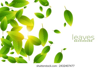 natural green leaves background with light effect vector