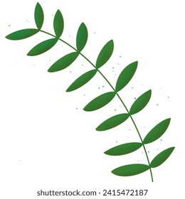 Natural Green leaves plant Vector in white background 