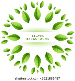 natural green petals decorative background with empty space vector