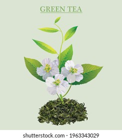 natural green tea jasmine spring fragrant flowers