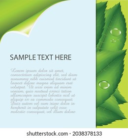 natural green Template vector design.