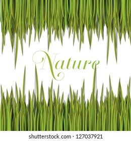 Natural green template with vector grass.