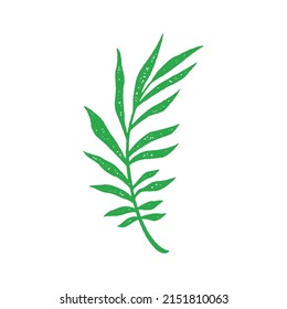 Natural green tree branch with leaves and stem paradise exotic fern growing plant hand drawn grunge texture vector illustration. Tropical plant foliage traditional rainforest vegetation greenery