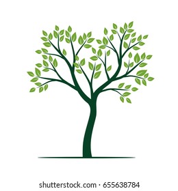 Natural Green Tree with Leaves. Vector Illustration.