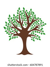 Natural green tree on a white background