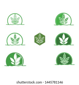 natural green vector logo design