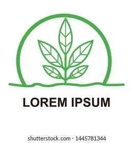 natural green vector logo design