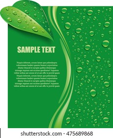 natural green water drops background with fresh leaf