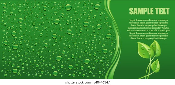 natural green water drops background with fresh leaf