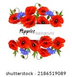 Natural greeting card with red poppies and blue cornflowers. Vector.