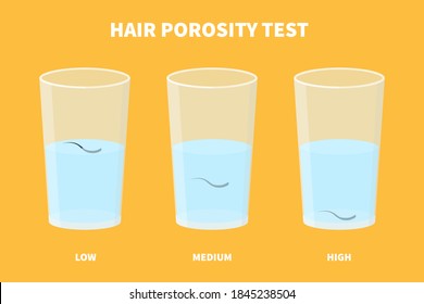 Natural hair porosity float test infographics. Strand with low, normal and high cuticle porosity in a glass of water. Anatomical structure scheme. Cartoon vector illustration.