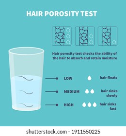 Natural hair porosity float test infographics. Strand with low, normal and high cuticle porosity in a glass of water. Anatomical structure scheme vector illustration. 