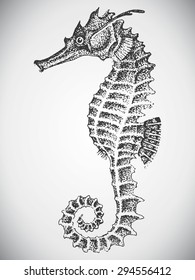 Natural Hand Drawn Illustration Of Sea Horse