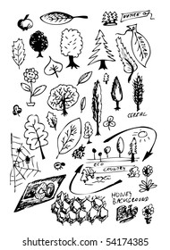 natural hand drawn symbols