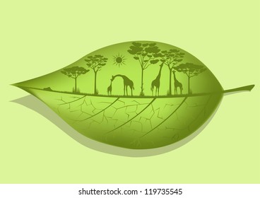 Natural Harmony