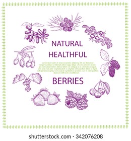 Natural healthful berries hand drawn vector illustration.