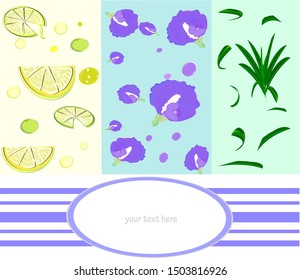 Natural herbal drink ingredients, product design, Butterfly pea (сlitoria ternatea) or bluebells, pandan and lemon, your text frame here. Vector decoration