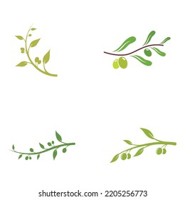 Natural herbal olive and oil logo with olive branch. Logo for business, branding, herbal medicine and spa.