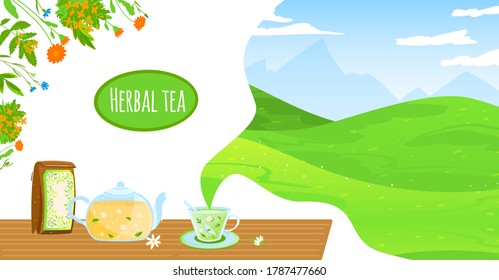 Natural herbal tea vector illustration. Cartoon flat glass teapot kettle, package and teacup with chamomile herb flowers leaves healthy hot beverage, flying aroma wind of nature green field landscape