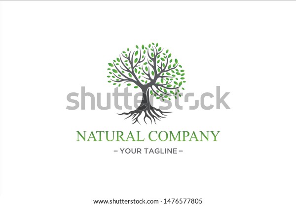 Natural Herbal Tree Logo Premium Vector Stock Vector (Royalty Free