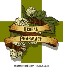 natural herbs