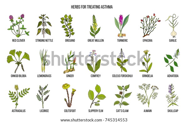 Natural Herbs Collection Asthma Treating Hand Stock Vector