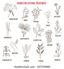 Natural herbs collection for asthma treatment. Hand drawn botanical vector illustration