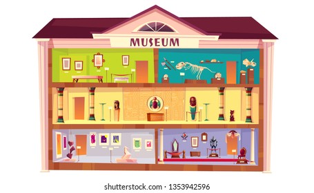 Natural history, ethnographic, paleontology, art museum cartoon vector. Cross section building with egyptian, medieval history, dinosaurs skeletons, modern, classic art exposition illustration