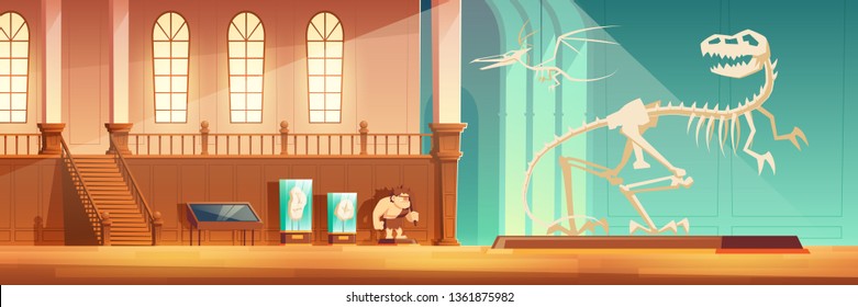 Natural history museum exhibition hall with exhibits cartoon vector. T-rex and pterodactyl dinosaurs skeletons on pedestal, hanging on rope, stone age hunter dummy, fossils in glass cases illustration