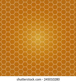 natural honey comb background or texture