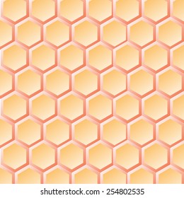 natural honey comb background or texture