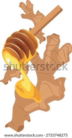 Natural honey with fresh ginger root, isolated on white background, healthy food and natural remedy