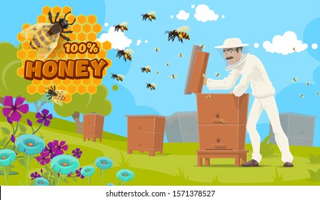 Producción natural de miel, apicultura y apicultor en colmenas. Afiche alimentario de apicultura vectorial, apicultor con uniforme y máscara extrayendo miel de colmena, abejas con pepino y flores