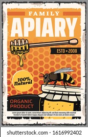 Natural honey production, beekeeping and family beekeeper apiary. Vector apiculture food retro poster, bees, dipping wooden spoon and honey in glass on honeycomb background