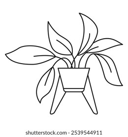 Planta de casa natural. Aislado sobre fondo blanco. Ilustración vectorial de contorno. Planta para decoración interior de casa u oficina. Planta interior en un icono de olla.