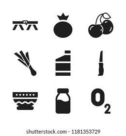 natural icon. 9 natural vector icons set. berry, bowl and leek icons for web and design about natural theme