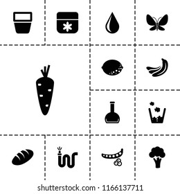 Natural icon. collection of 13 natural filled icons such as carrot, banana, peas, cauliflower, bread, flower, water hose, bottle. editable natural icons for web and mobile.