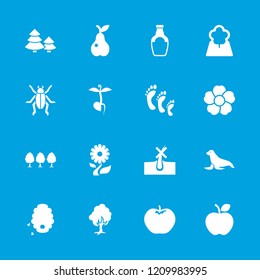 Natural icon. collection of 16 natural filled icons such as apple, no hair in skin, pear, flower, sprout, tree, beetle, pine tree. editable natural icons for web and mobile.