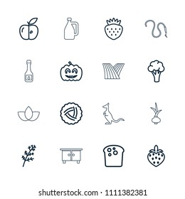 Natural icon. collection of 16 natural outline icons such as nest, deel, cauliflower, bread, apple, strawberry, pumpkin halloween. editable natural icons for web and mobile.