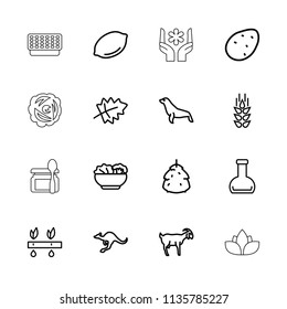 Natural icon. collection of 16 natural outline icons such as wheat, berry, leaf, potato, lemon, cangaroo, goat, seal, plant, bottle. editable natural icons for web and mobile.