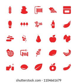 Natural icon. collection of 25 natural filled icons such as pear, banana, deel, oil, lemon, turkey, spa stones, leaf, cream. editable natural icons for web and mobile.