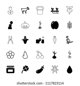 Natural icon. collection of 25 natural filled and outline icons such as onion, peach, eggplant, corn, pregnant woman, clover. editable natural icons for web and mobile.