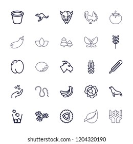 Natural icon. collection of 25 natural outline icons such as wheat, nest, peach, banana, cabbage, hand with seeds, goat, cangaroo. editable natural icons for web and mobile.