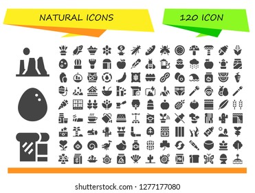  natural icon set. 120 filled natural icons. Simple modern icons about  - Canyon, Bread, Egg, Flower, Corn, Fruit bowl, Turtle, Plant, Grasshopper, Bee, Watermelon, Mushroom, Palm tree