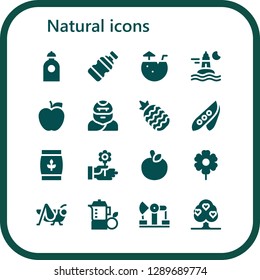  natural icon set. 16 filled natural icons. Simple modern icons about  - Water, Bottle, Coconut water, Ocean, Apple, Troglodyte, Pineapple, Pea, Wheat, Flower, Grasshopper, Juice