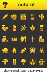 natural icon set. 26 filled natural icons.  Simple modern icons about  - Carrot, Palm tree, Scenic Illumination, Blood, Cactus, Bananas, Grapes, Leaf, Plant, Bottle, Moth, Egg