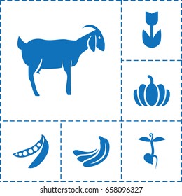 Natural icon. set of 6 natural filled icons such as banana, goat, pumpkin, sprout, peas