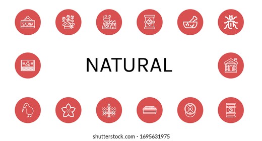 natural icon set. Collection of Sauna, Flower bouquet, Nuclear power, Oil tank, Mortar, Beetle, Kiwi, Flower, Tidal, Bread, Sour cream, Oil barrel, Cherry icons