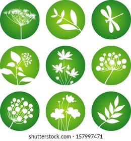 Natural icons