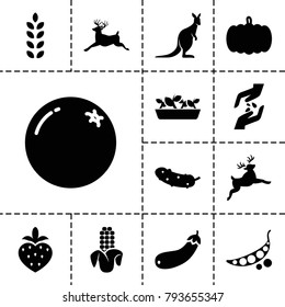 Natural icons. set of 13 editable filled natural icons such as pumpkin, orange, deer, kangaroo, cucumber, aubergine, strawberry, corn, hand with seeds, plant, plant in pot